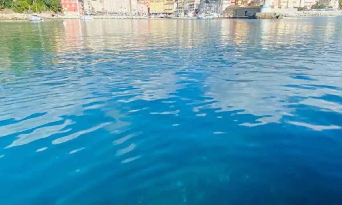 Photo of Others in Bastia