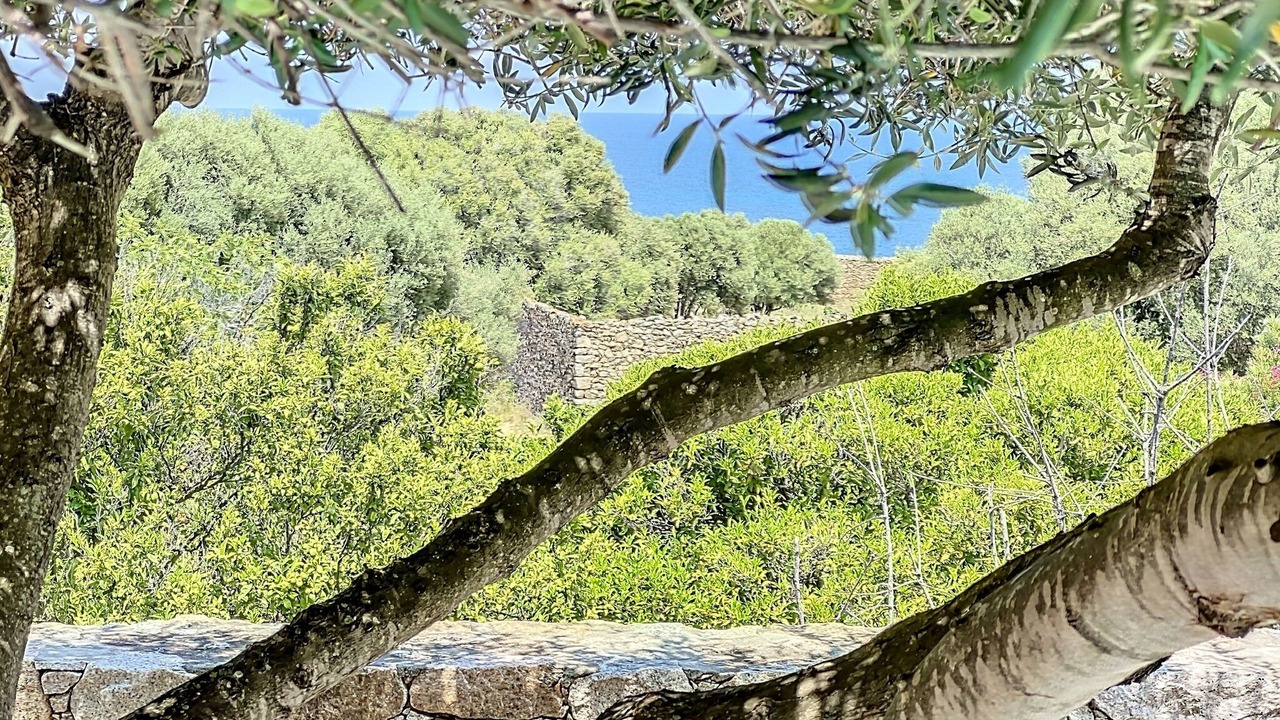 Photo of Outdoor in Marine de Davia