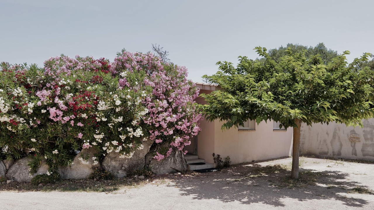 Photo of Outdoor in Figari