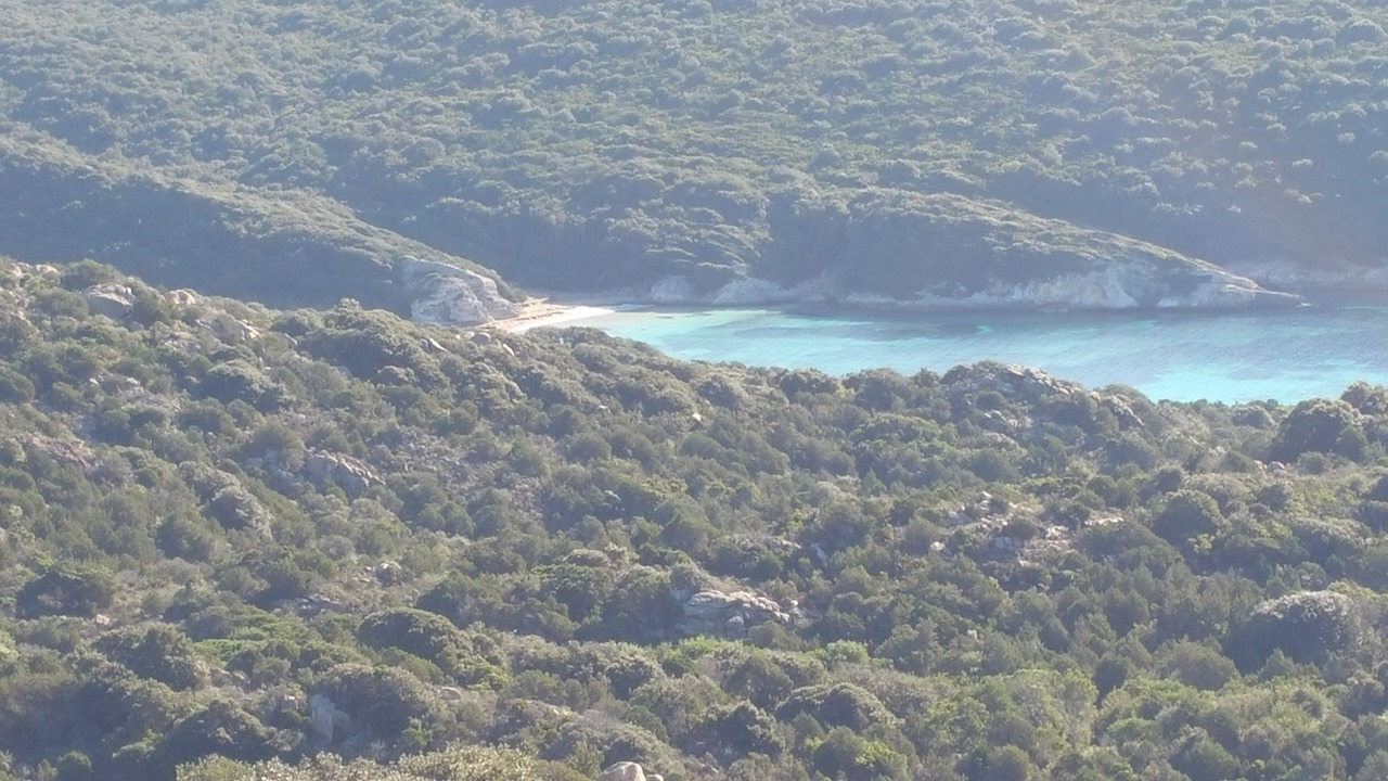 Photo of Outdoor in Figari
