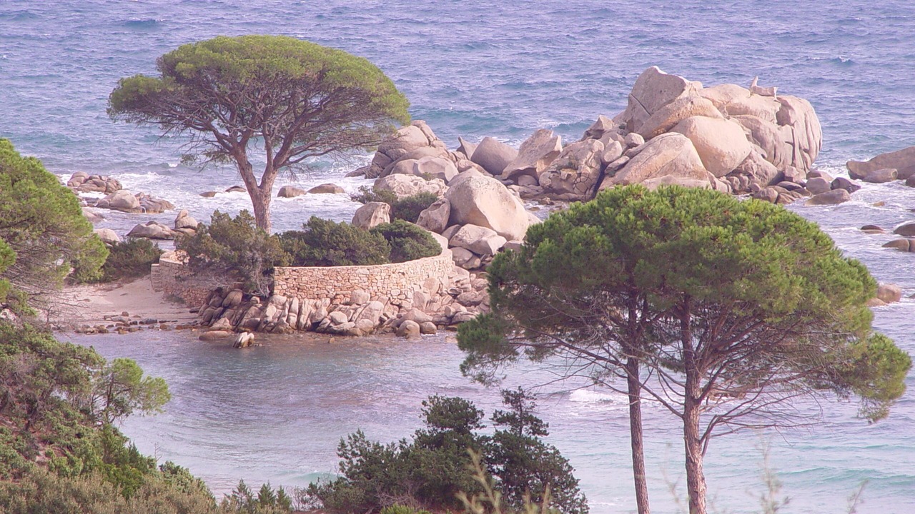 Photo of Others in Pinarellu