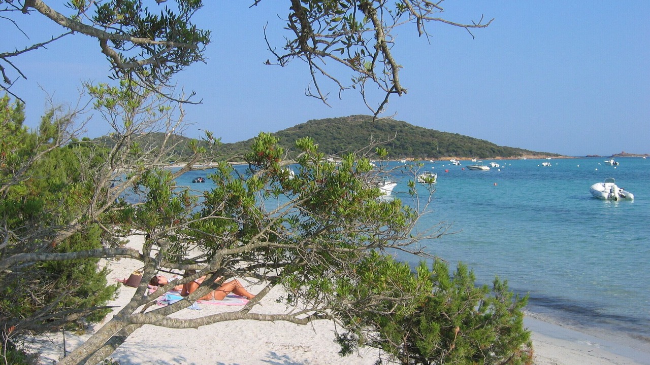 Photo of Others in Pinarellu