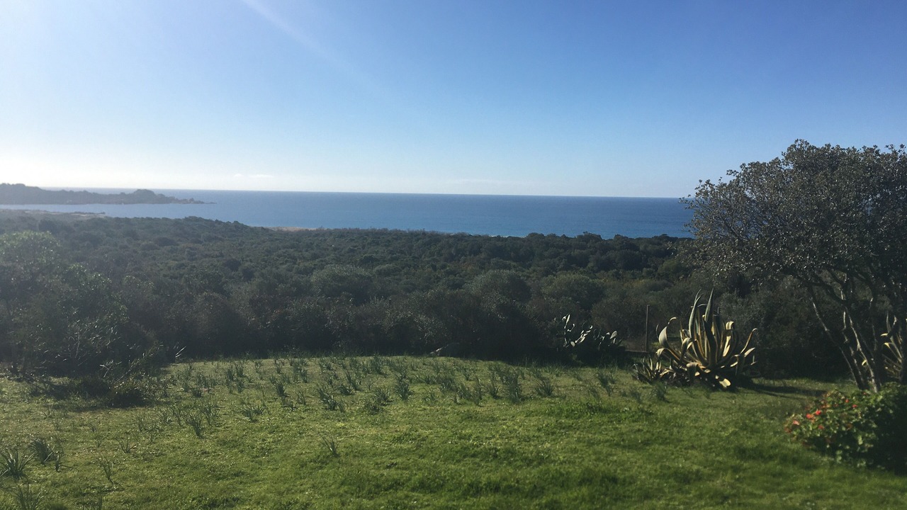 Photo of Outdoor in Sartene