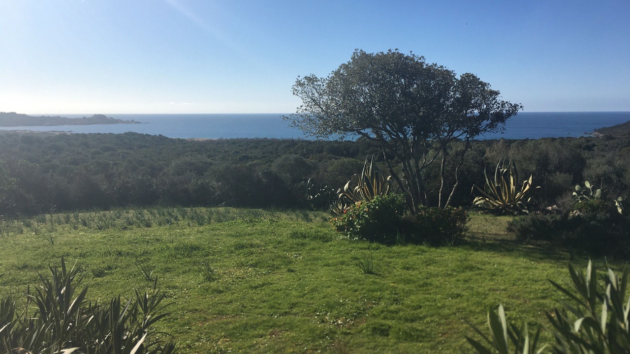 Photo of Outdoor in Sartene