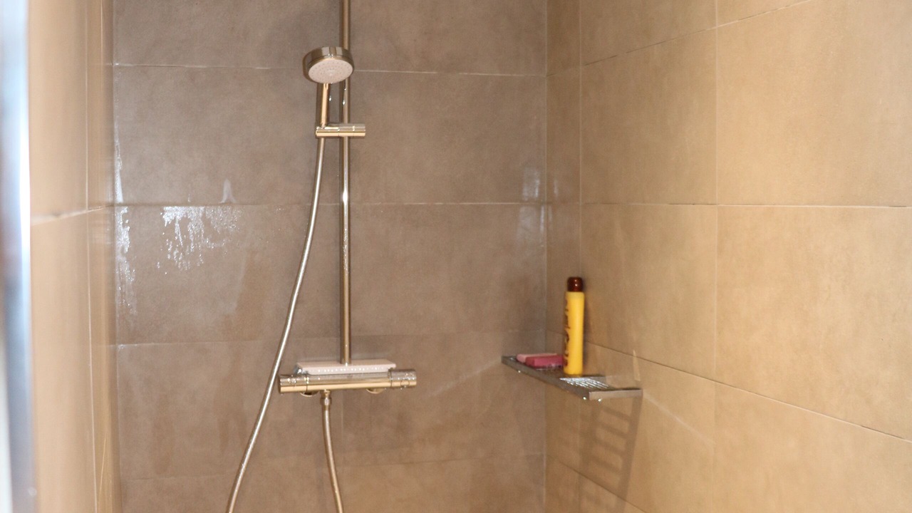 Photo of Bathroom in Marine de Saint Ambroggio
