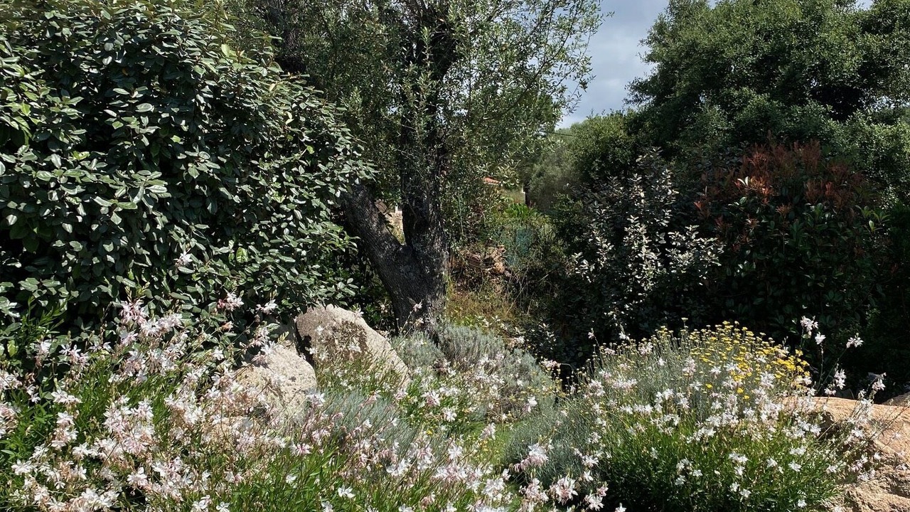 Photo of Outdoor in Lecci