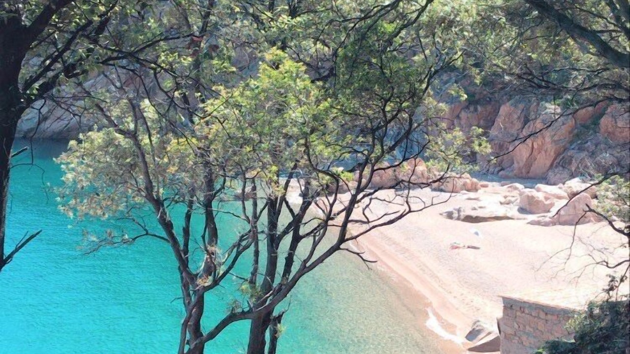 Photo of Others in Piana