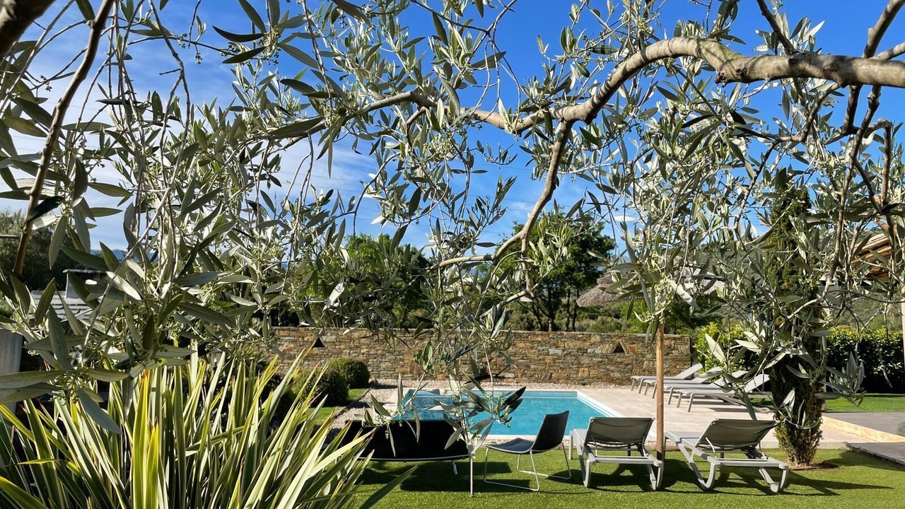 Photo of Outdoor in Oletta