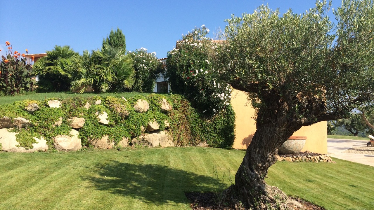 Photo of Outdoor in Solenzara