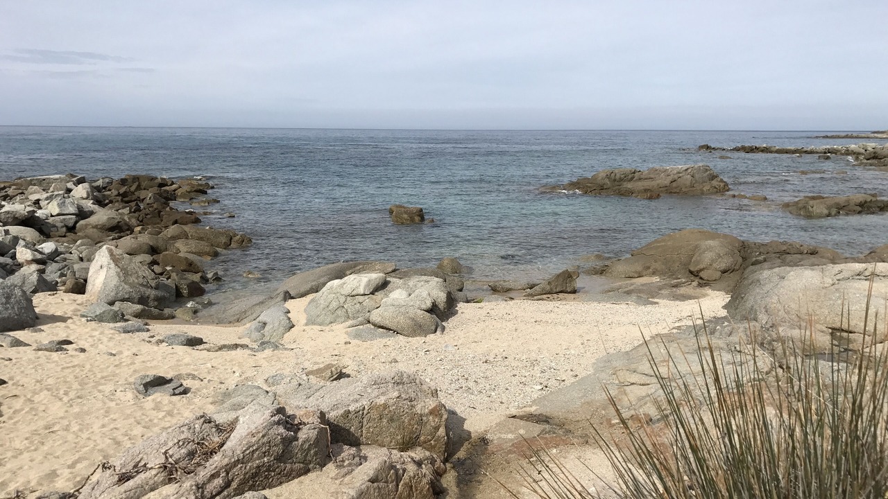 Photo of Others in Marine de Saint Ambroggio