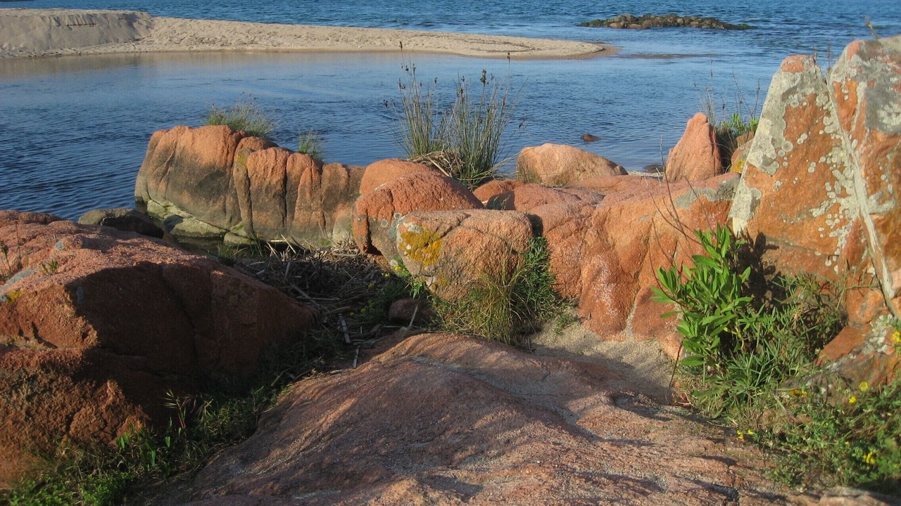 Photo of Others in Pinarellu
