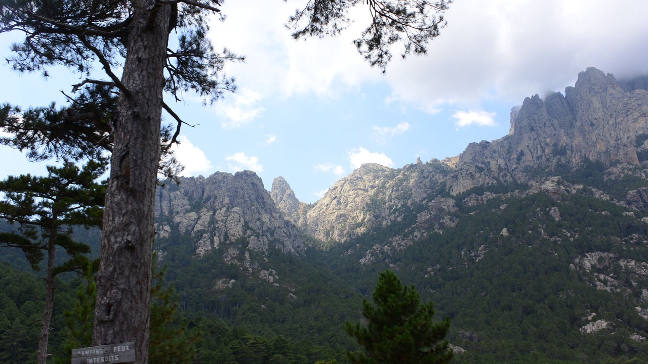 Photo of Outdoor in Tarcu