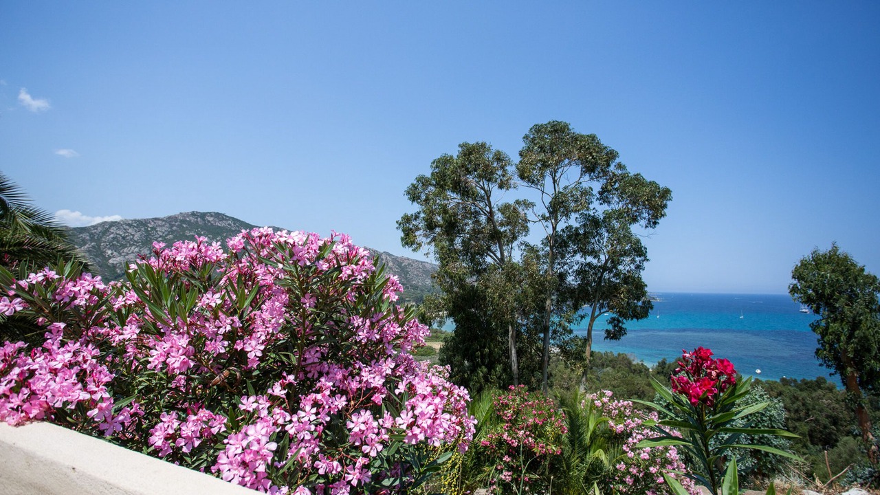 Photo of Outdoor in Saint-Florent