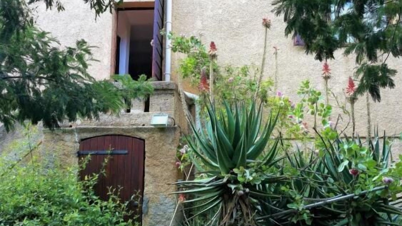 Photo of Outdoor in Calvi