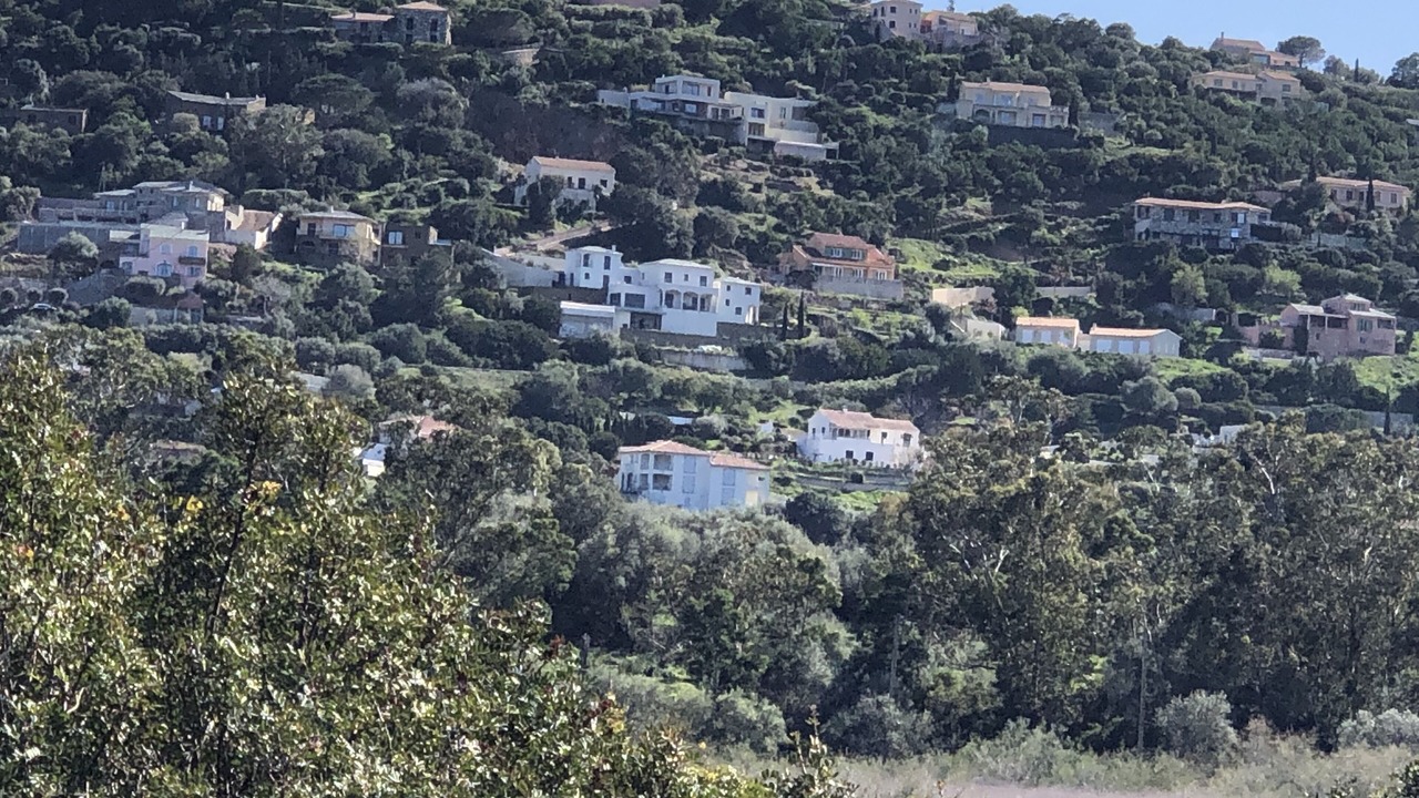 Photo of Outdoor in Saint-Florent