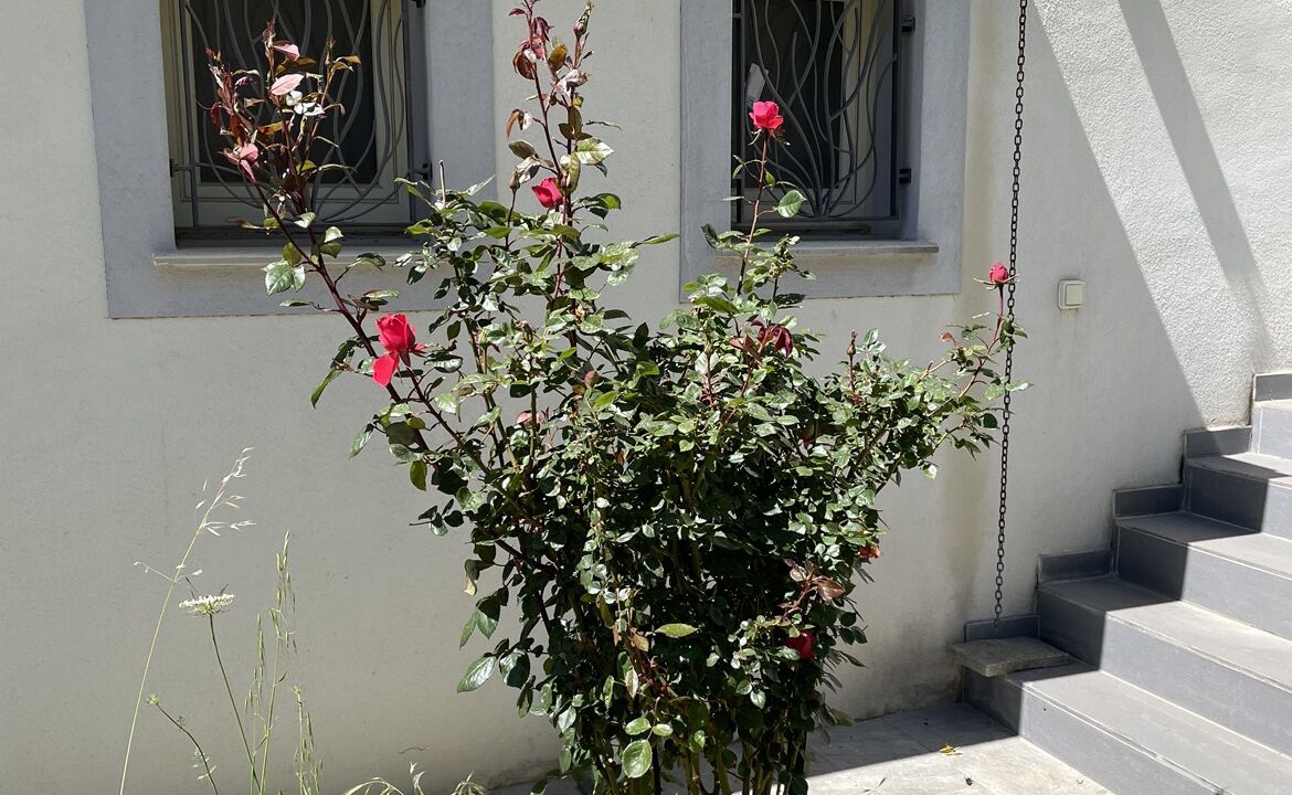 Photo of Outdoor in Saint-Florent