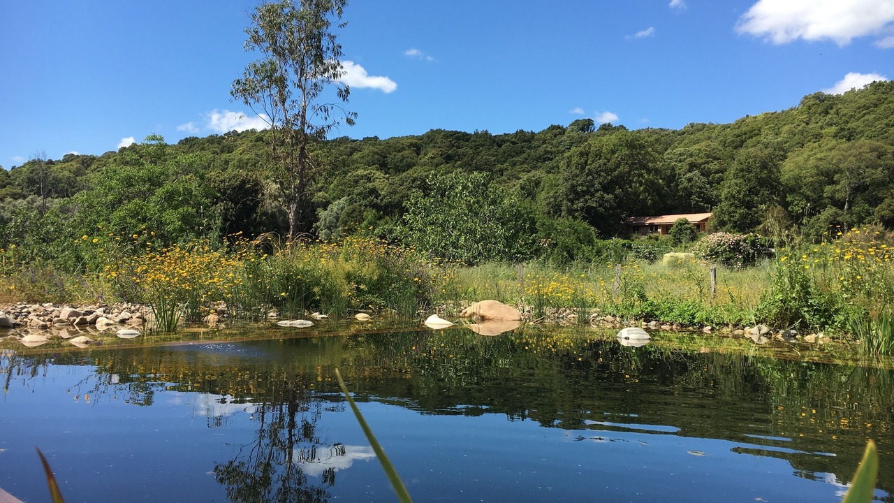 Photo of Outdoor in Petreto-Bicchisano
