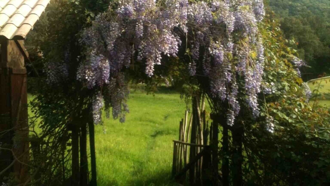 Photo of Outdoor in Petreto-Bicchisano