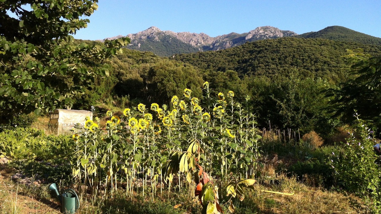 Photo of Outdoor in Petreto-Bicchisano