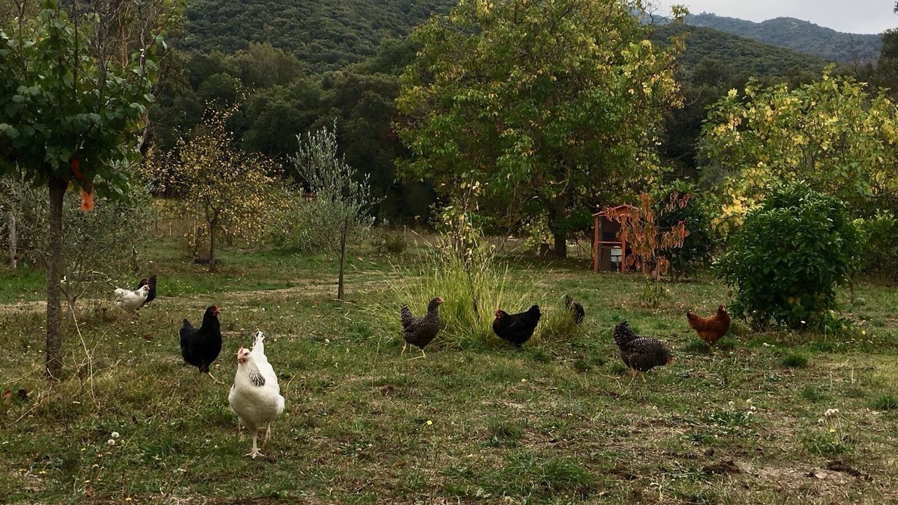 Photo of Outdoor in Petreto-Bicchisano