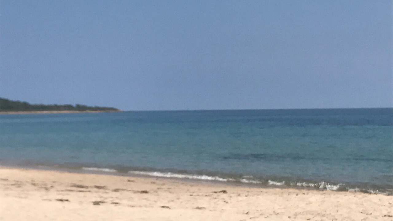Photo of Others in Pinarellu