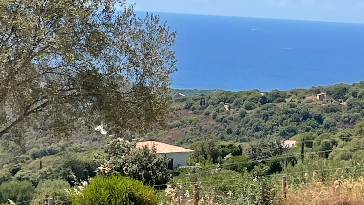 Photo of Outdoor in Serra-di-Ferro