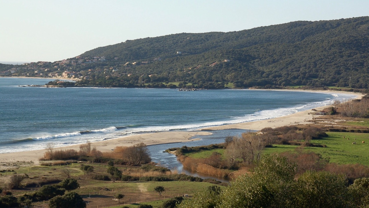 Photo of Others in Porto Pollo