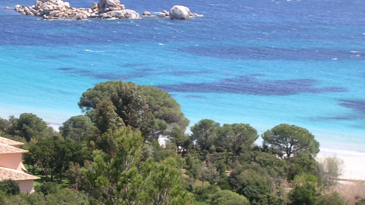 Photo of Others in Figari