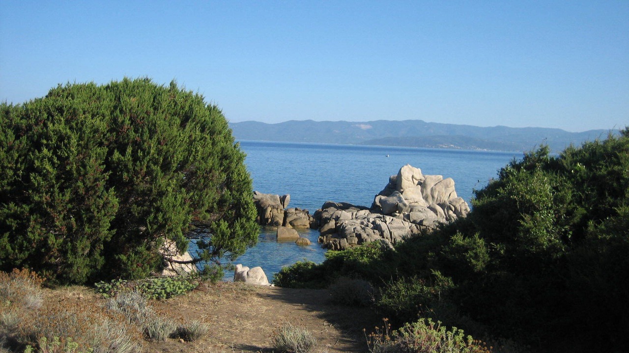 Photo of Others in Belvedere-Campomoro