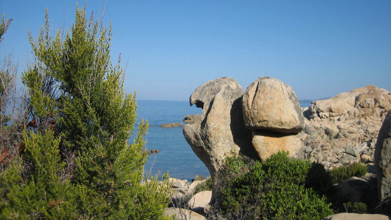 Photo of Others in Belvedere-Campomoro