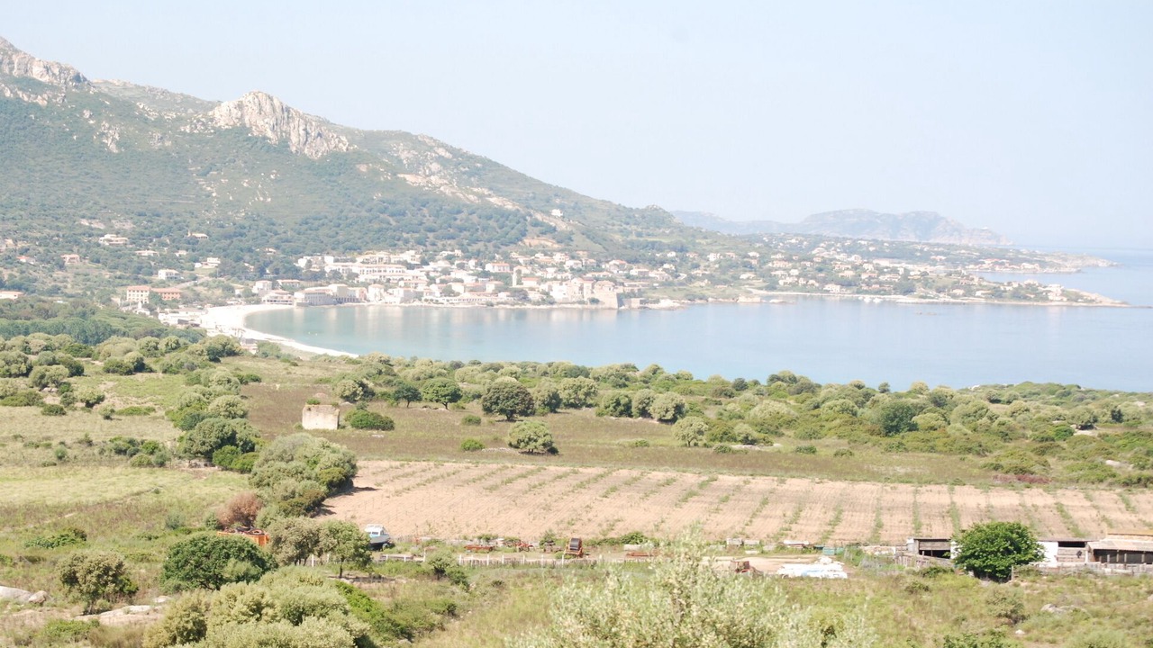 Photo of Others in Algajola