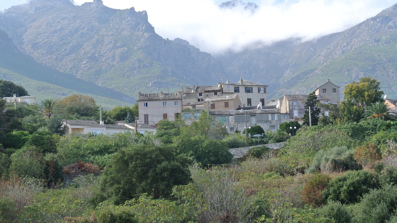 Photo of Outdoor in Erbalunga