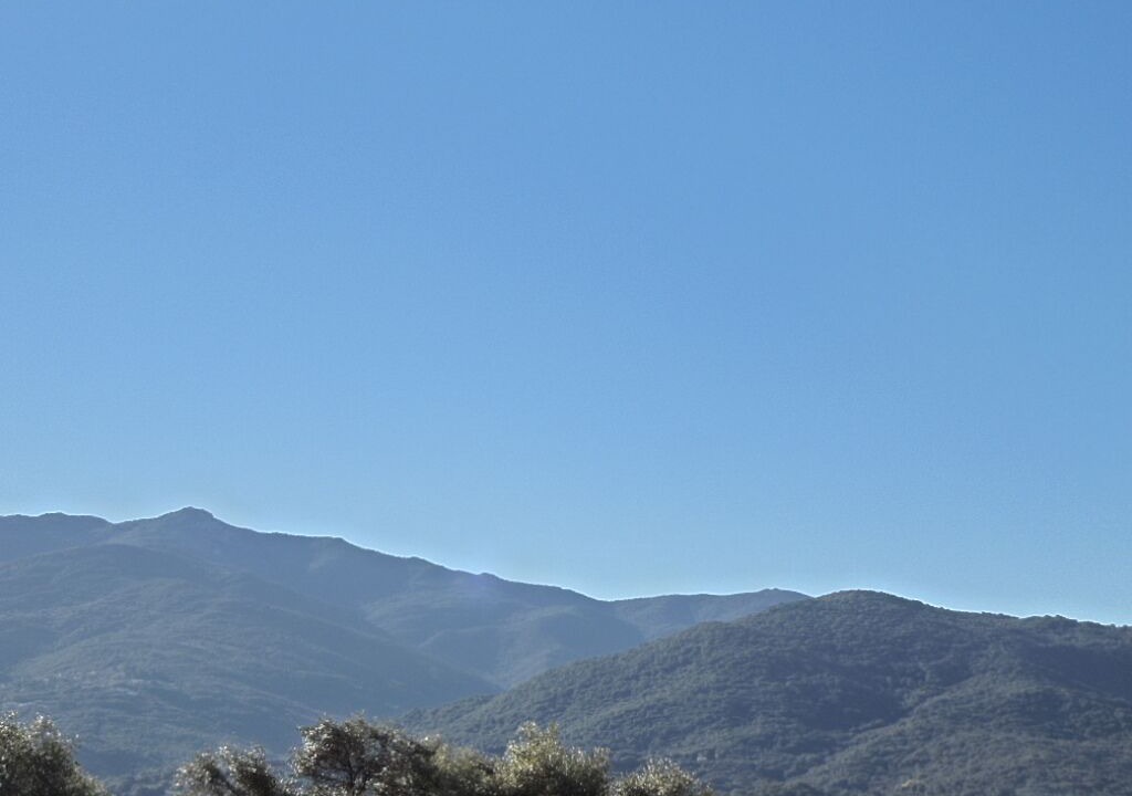 Photo of Outdoor in Bastelicaccia
