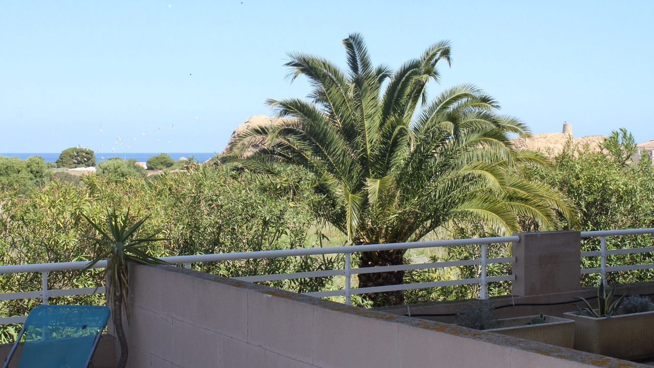 Photo of Outdoor in L'Ile-Rousse