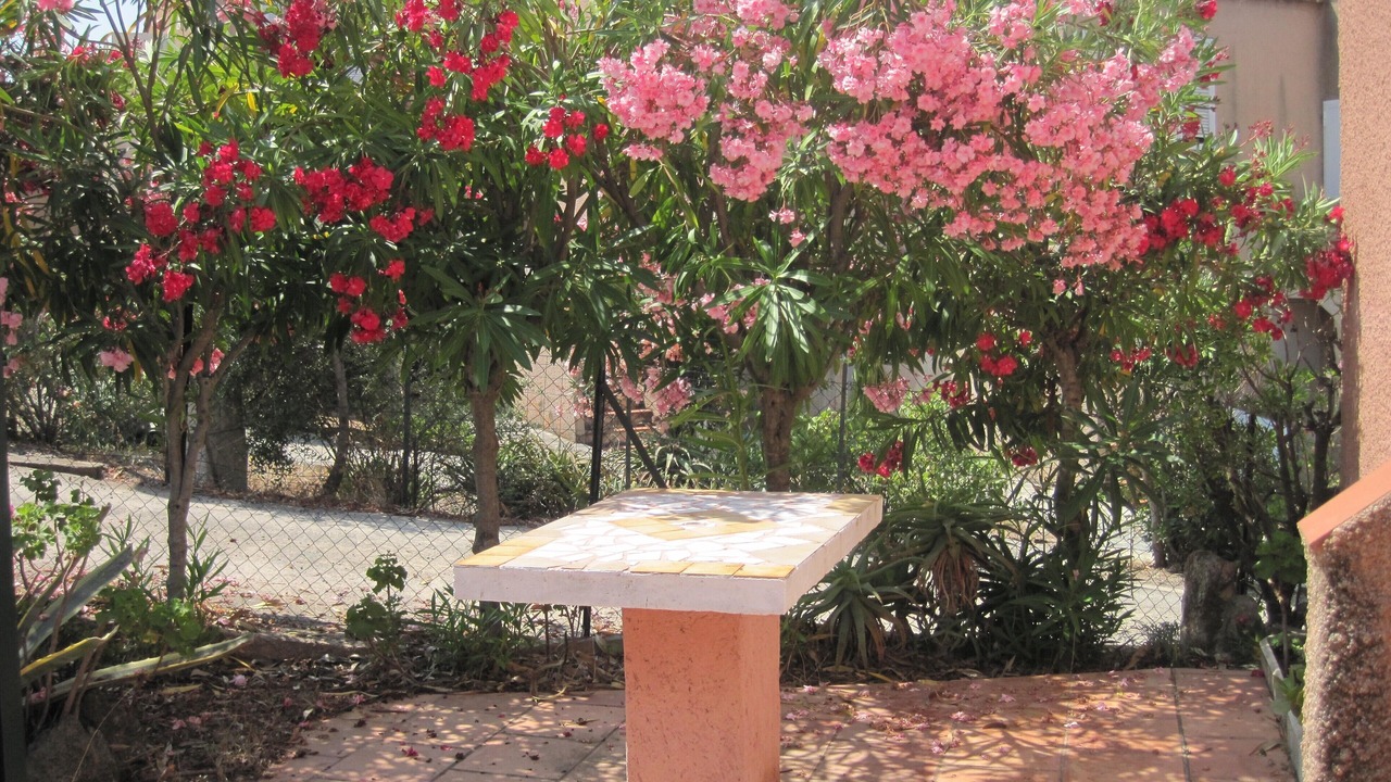 Photo of Patio Balcony in Lumio