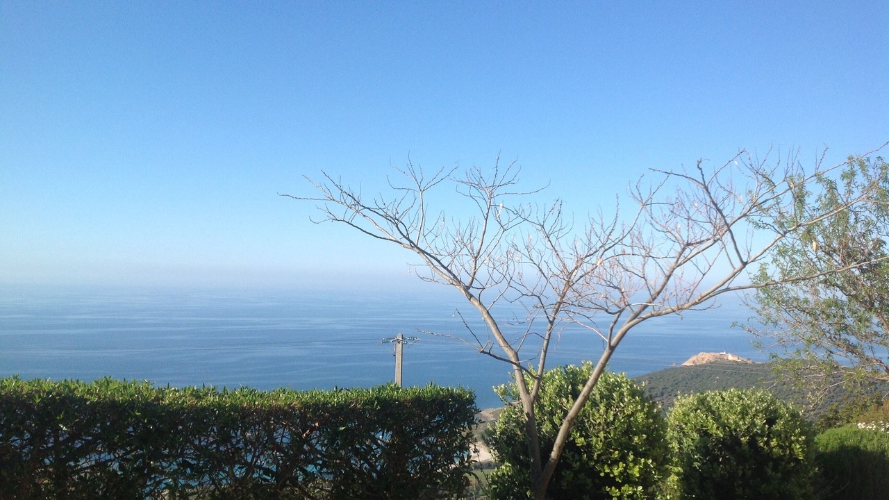 Photo of Others in Corbara
