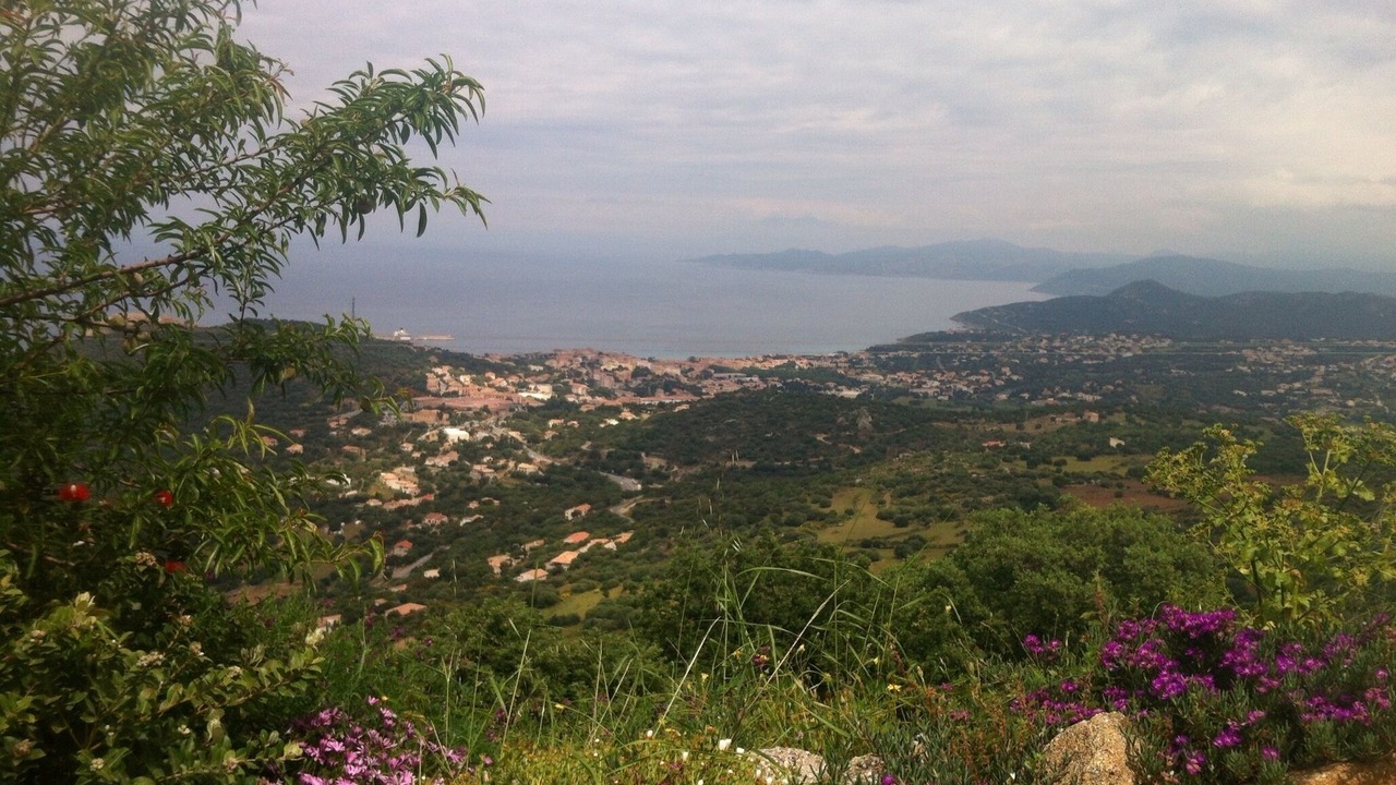 Photo of Outdoor in Corbara