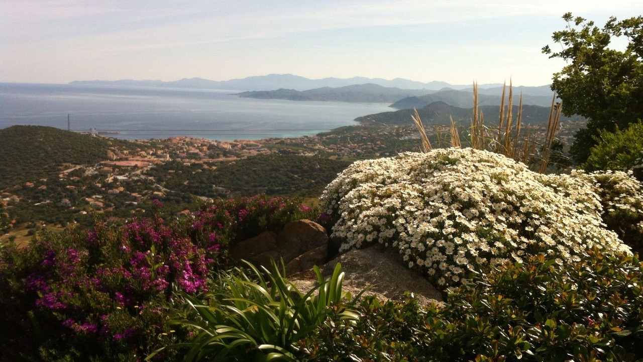 Photo of Outdoor in Corbara