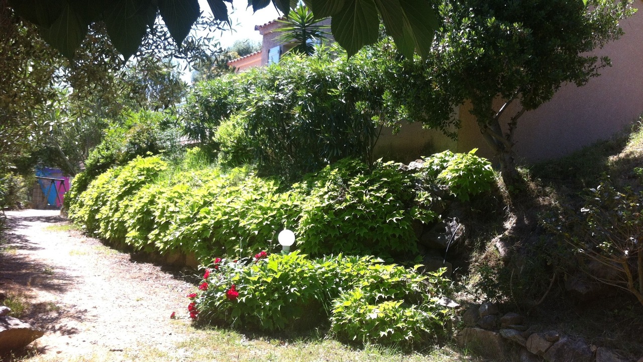 Photo of Outdoor in Belvedere-Campomoro