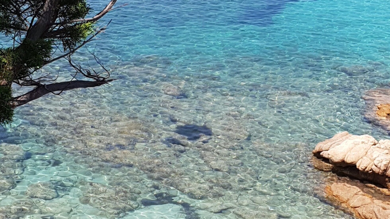 Photo of Others in Porto Pollo