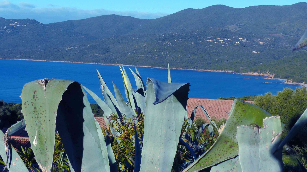Photo of Outdoor in Porto Pollo