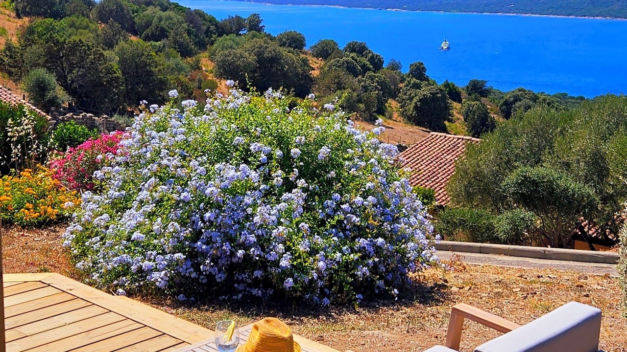 Photo of Patio Balcony in Porto Pollo