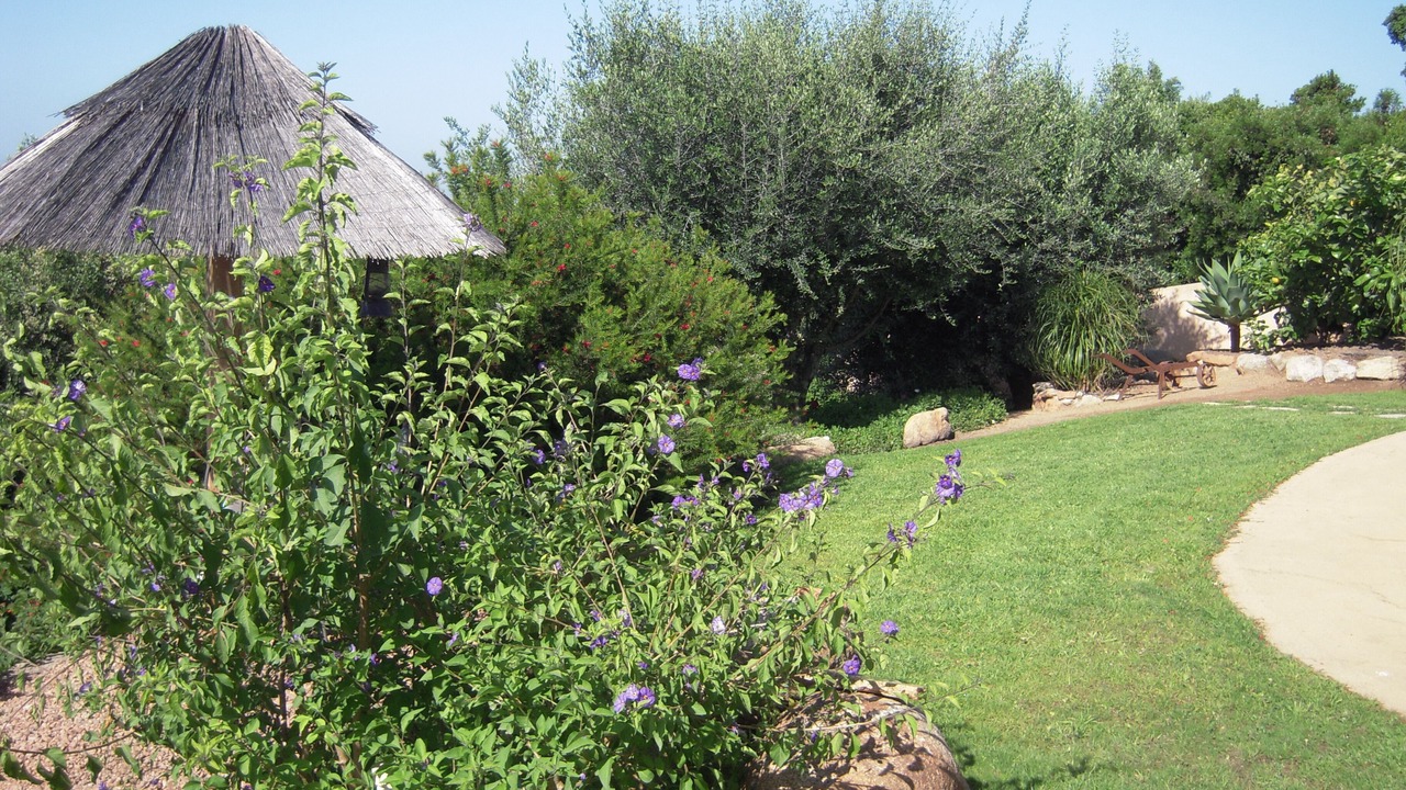 Photo of Outdoor in Pinarellu