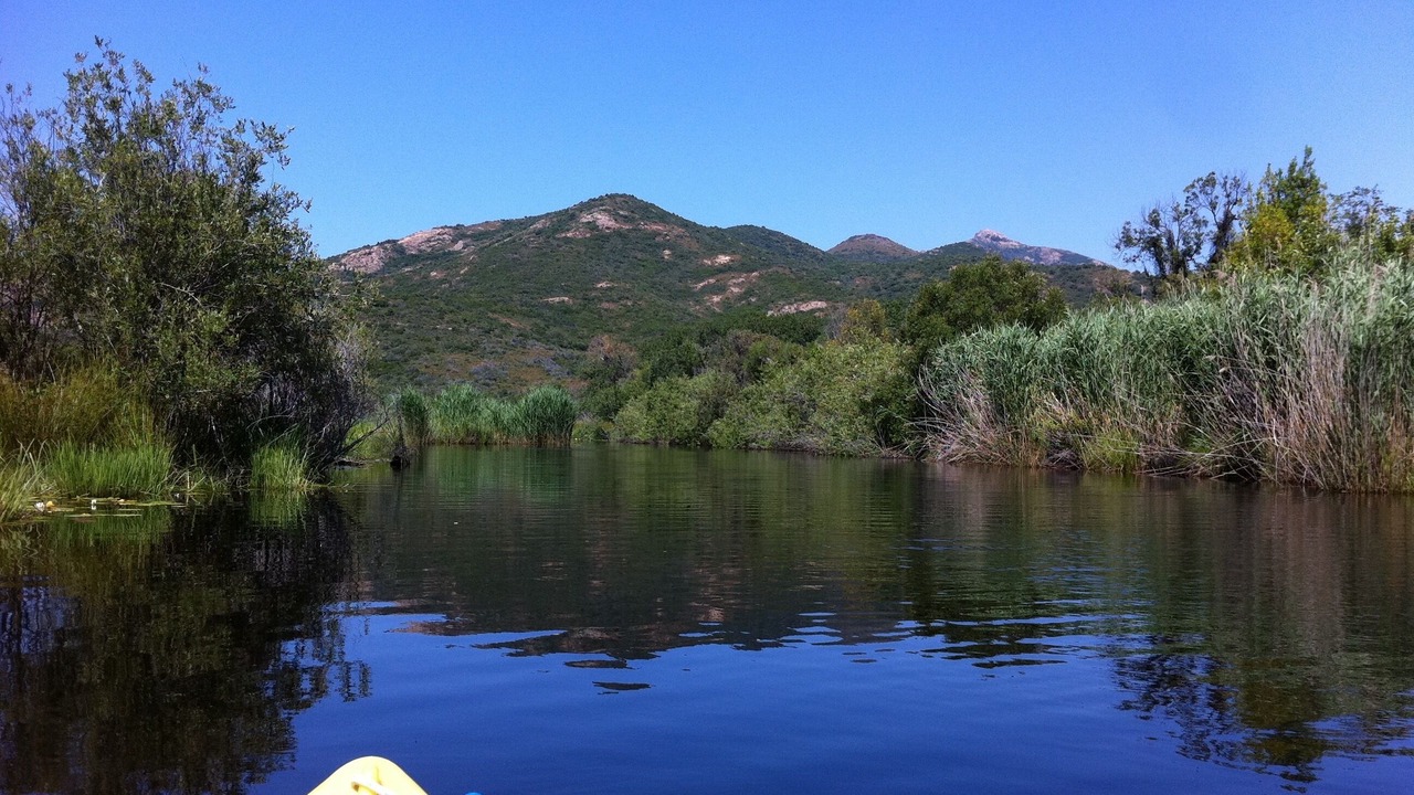 Photo of Others in Calvi