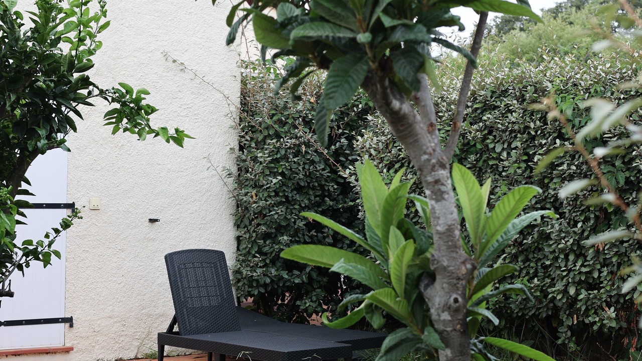 Photo of Outdoor in Pinarellu