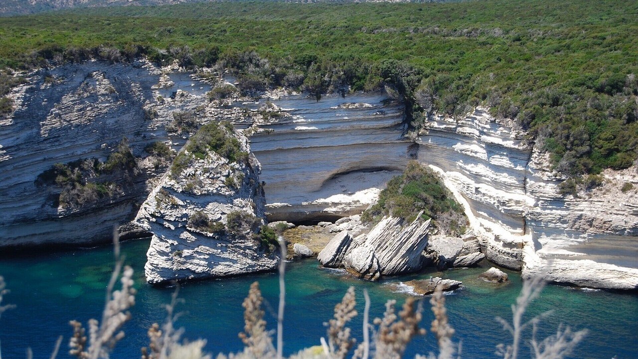 Photo of Others in Bonifacio