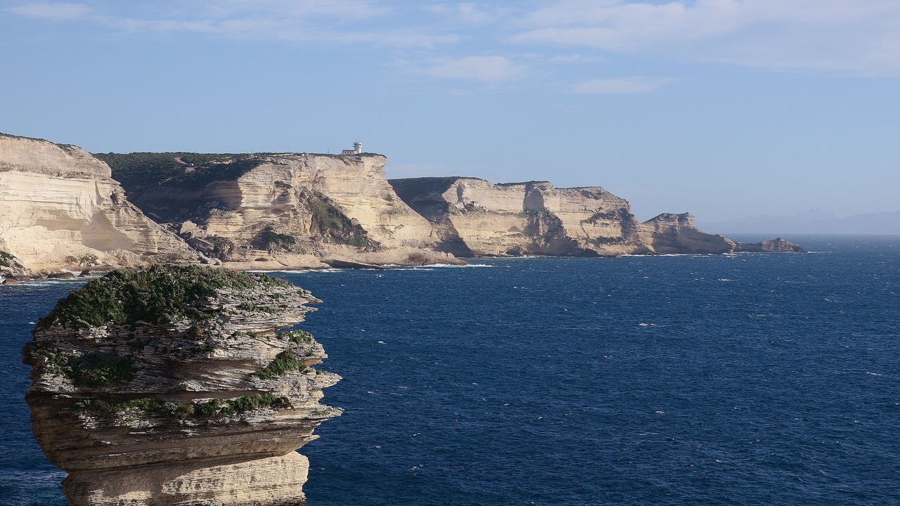 Photo of Others in Bonifacio