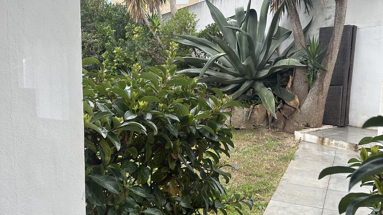 Photo of Outdoor in Ajaccio