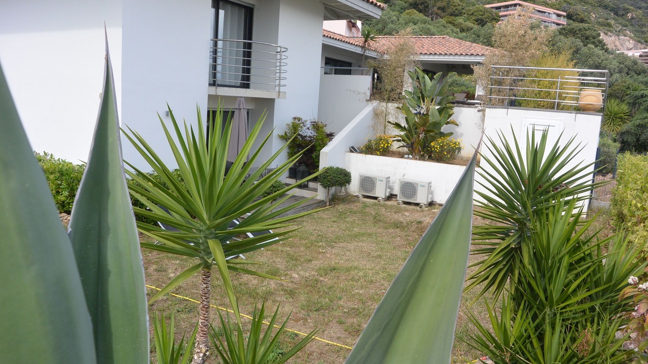 Photo of Outdoor in Ajaccio