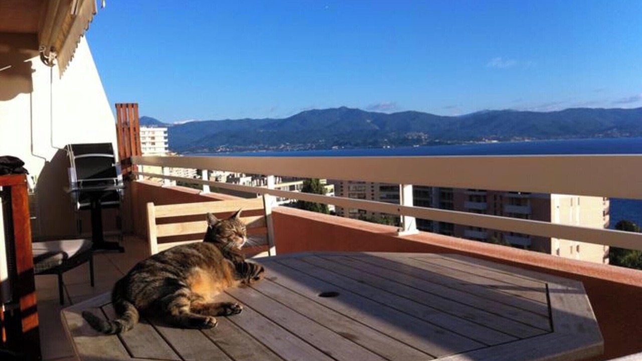 Photo of Outdoor in Ajaccio